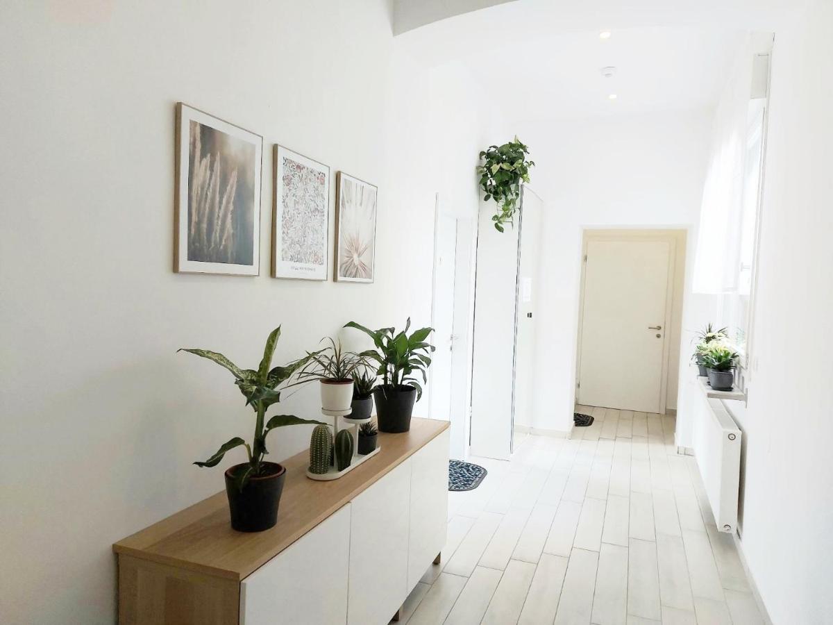 Zagreb Spin&Fly Palma Apartman Kültér fotó